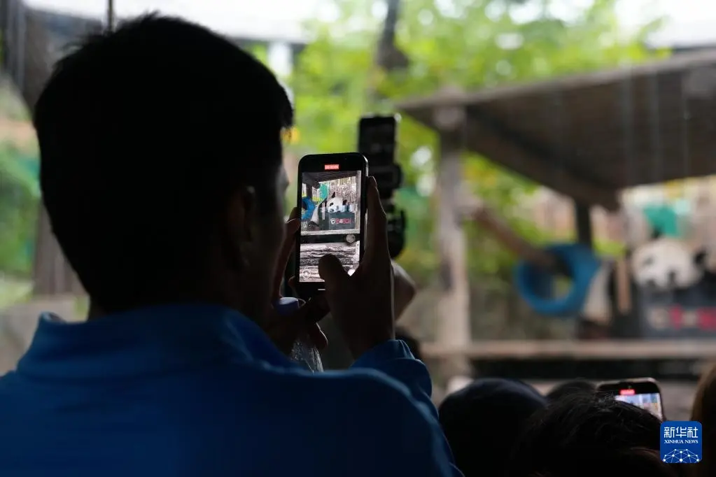 img, 足球世界杯