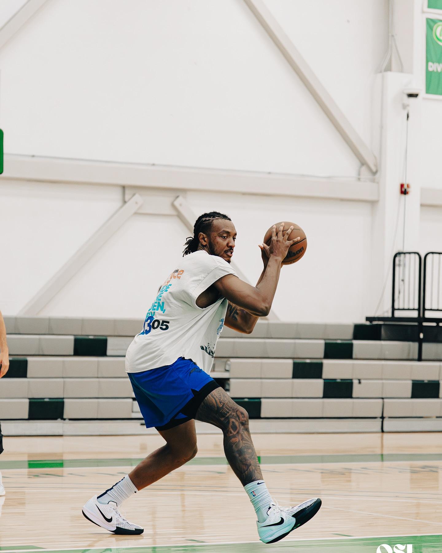 卡特动态晒, entit